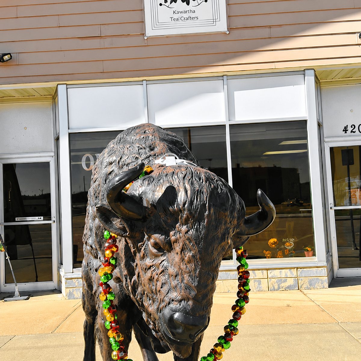 The Bison at the Door