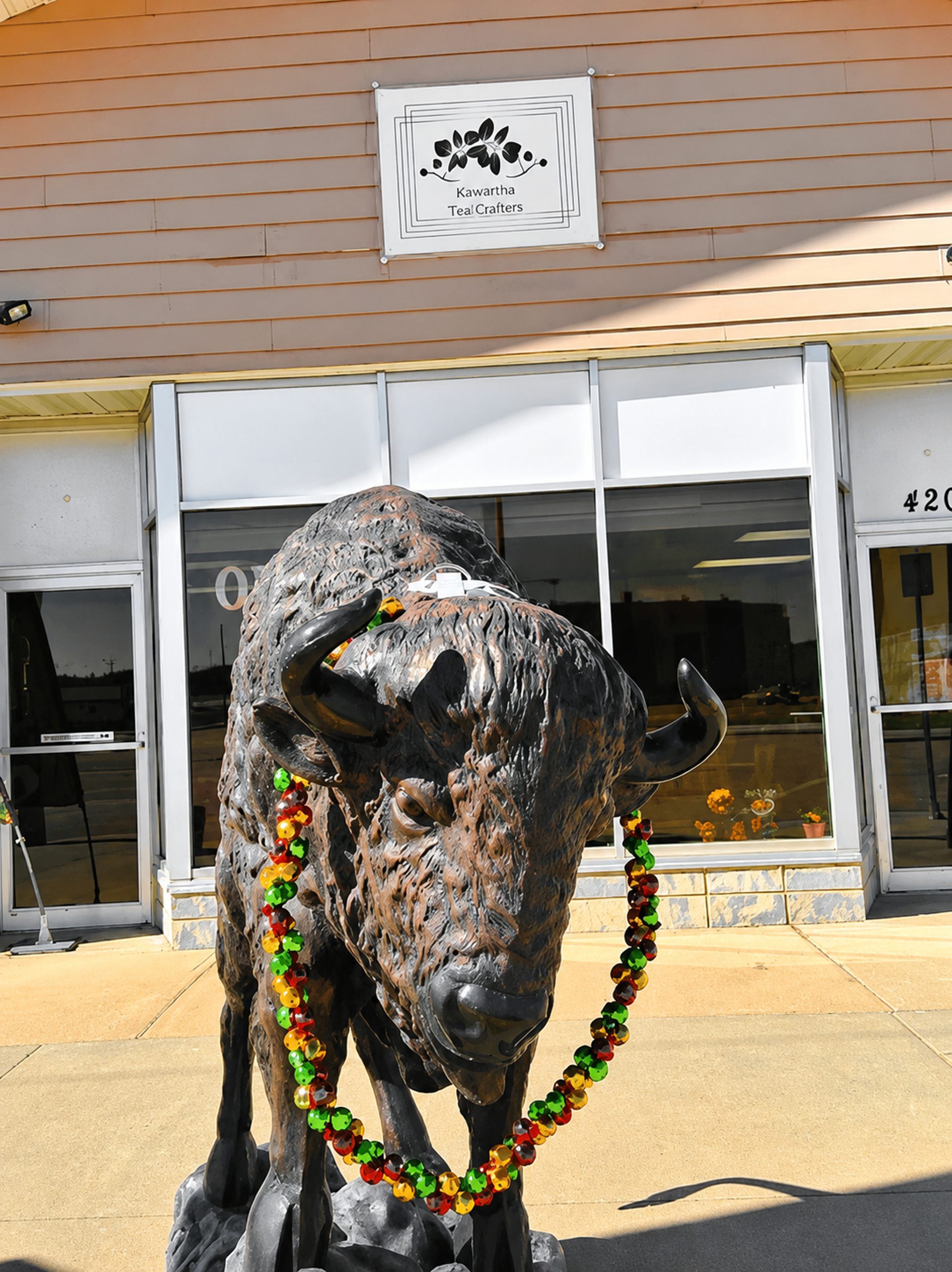 The Bison at the Door